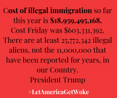 REAL COST OF ILLEGALS