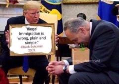 Illegal Immigration is wrong, plain and simple Chuck Schumer quote
