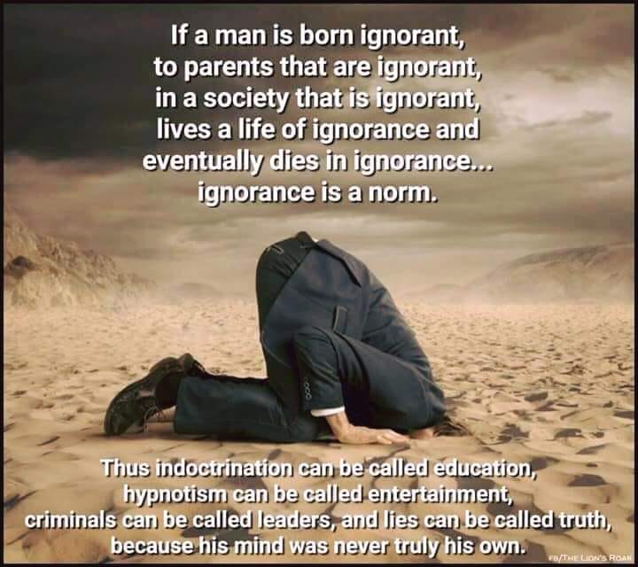 Ignorance is a Norm