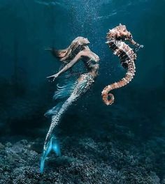 mermaid1