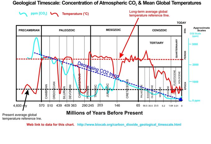 Geological Timescale Concentration of CO2 and Mean Global Temperatures Chart Graph