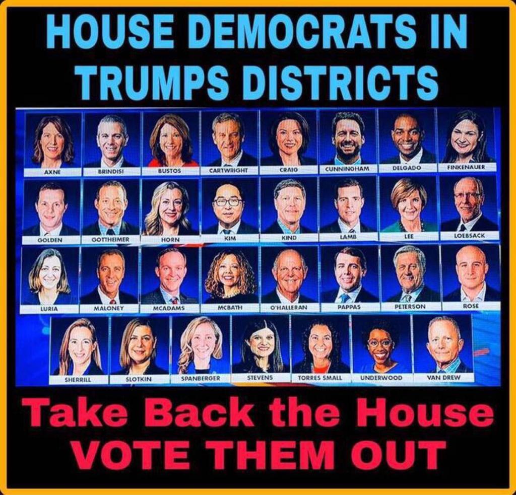 VOTE THEM OUT House Democrats in Trump Districts