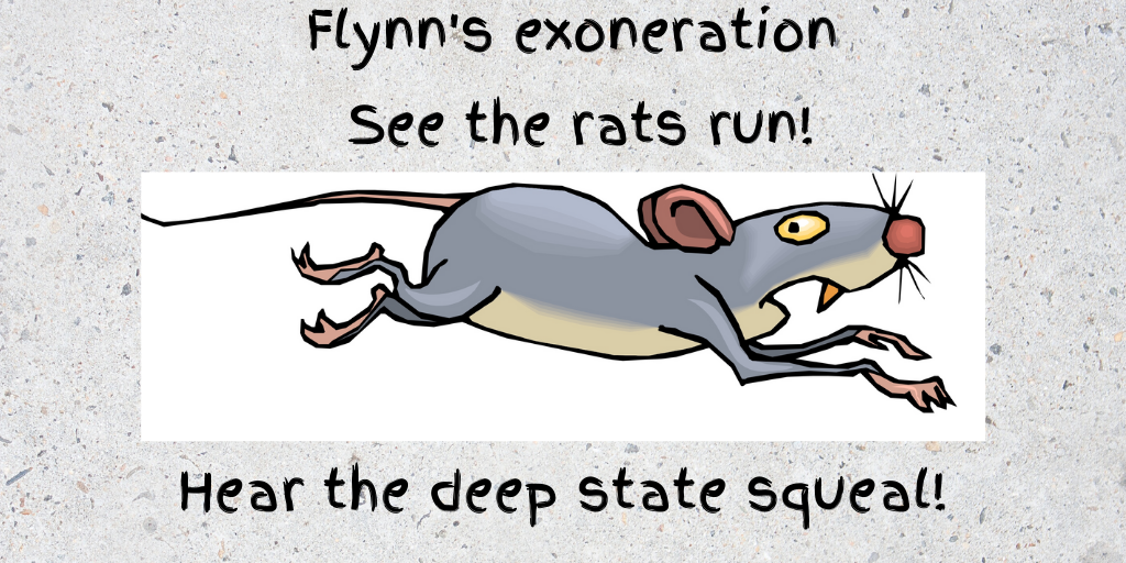 FLYNN RATS