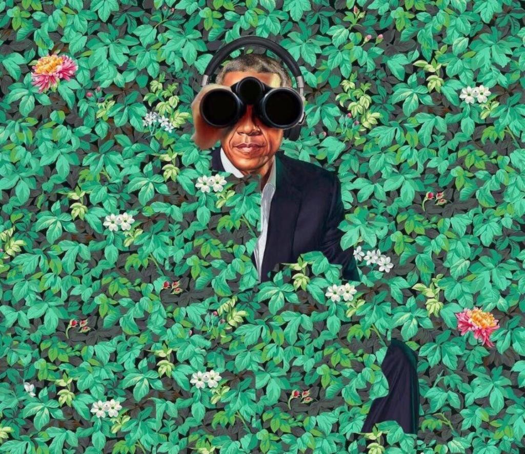 Official Obama WH portrait