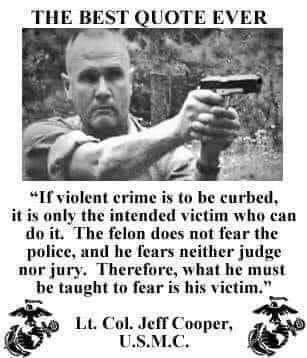 If Violent Crime is to be Curbed