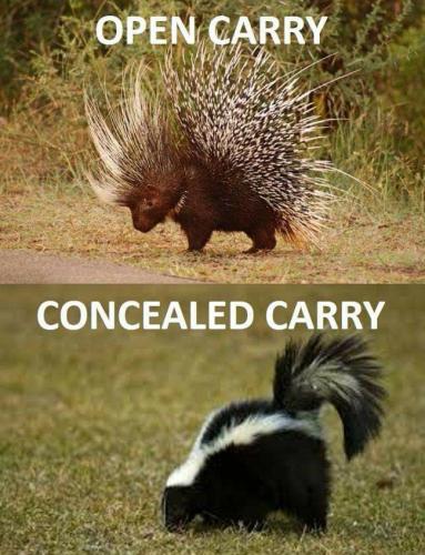 Open Carry - Concealed Carry
