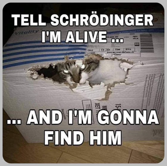 Schroedinger&#039;sCat