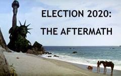 Election 2020 Aftermath DONT LET IT HAPPEN Planet of the Sheep
