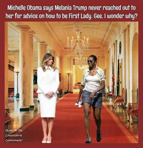 melania and michelle