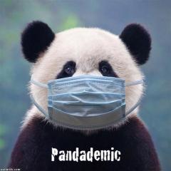 Pandademic