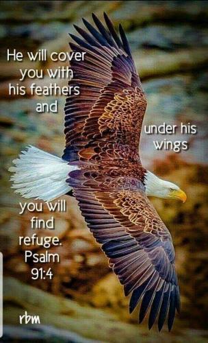 Eagle of Refuge
