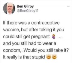 If There Was A Contraceptive Vaccine
