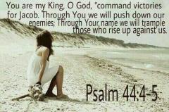 psalm 44 45
