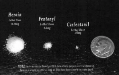 lethal dose of heroin fentanyl and carfentanil DONT DO DRUGS