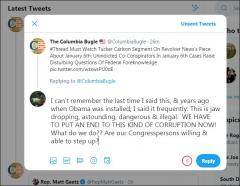 Safari Woman Twitter Comment on January 6th Government Insider Engagement
