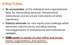 critical race in corps