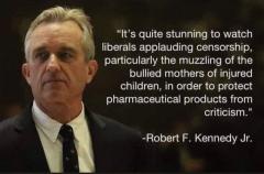 Roberrt F Kennedy Jr on bullied mothers of children damaged by vaccines