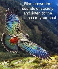 Listen to the stillness of your soul
