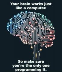 Program Your Brain