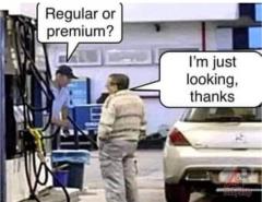 Regular or Premium gas - I am just looking thanks