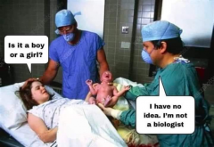 Can doctors say whether a baby is a boy or a girl if they are not biologists