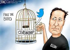 Branco Cartoon Elon Musk Free The Bird - Twitter