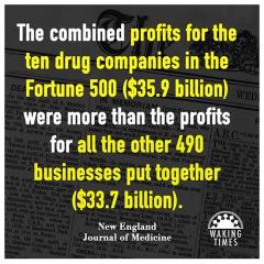 drug company profits