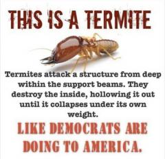 Democrats are like Termites