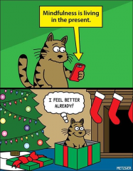 Happiness is living in the present - Christmas cat
