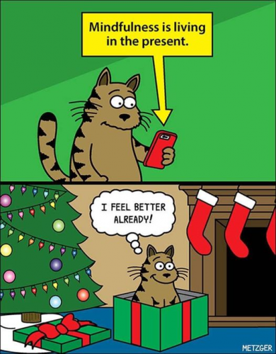 Happiness is living in the present - Christmas cat
