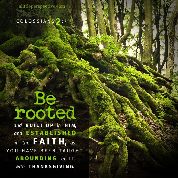 Be rooted in him