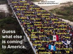 Disease Illegals guess what is coming to America