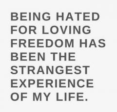 Being hated for loving freedom