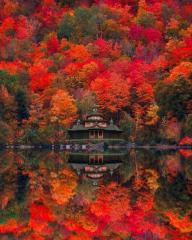 Beautiful season colors in Maine, USA
