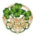 Do you have Irish Ancestry?