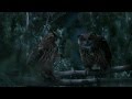 GEICO Owl Commercial - Did You Know Some Owls Aren&#039;t That Wise?
