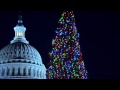 2013 Capitol Christmas Tree Lighting Ceremony