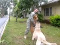 Two Dogs Welcome Home Soldier on R&amp;R