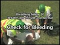 CERT Triage: Handling Mass Casualty Situations