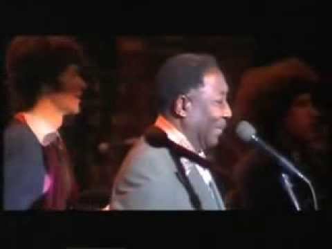 MUDDY WATERS &amp; THE BAND - 1976 - &quot;Mannish Boy&quot;