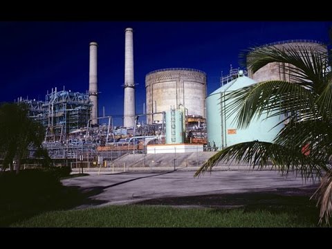 Florida nuclear plant leaking radiation into Atlantic Ocean