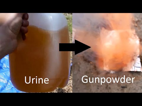 Gunpowder From Urine, Part 1