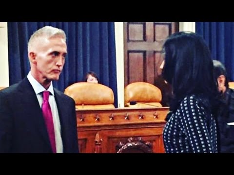 Trey Gowdy Brutally Stomps Moronic Immigration Official - &#039;We Are A Nation of Laws&#039;