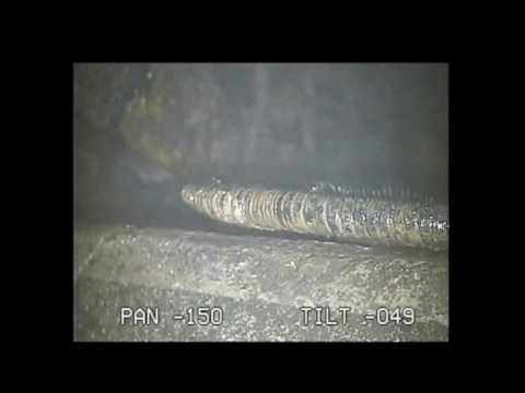 NEW VIDEO/Fukushima/160 Tons of Melted Fuel Rods Escaped Containment Vessel