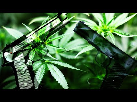 Pennsylvania and Hawaii Begin Gun Confiscation of Medical Marijuana Users