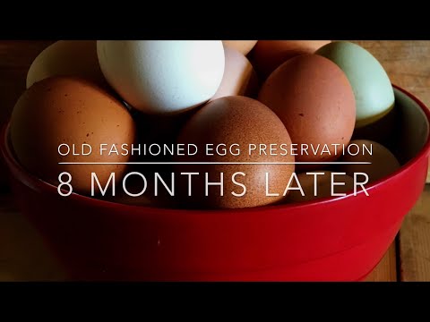 Old Fashioned Egg Preservation 8 Months Later - No Refrigeration! Homesteading Family