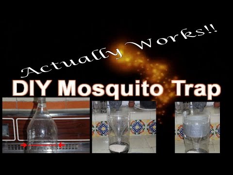 DIY Mosquito Trap that WORKS!