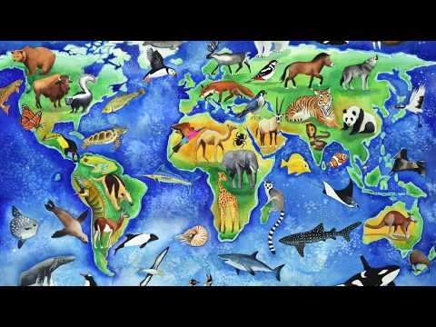 Upheaval: How Old Is the Earth and Its Species? | Space News