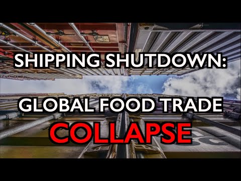 Shipping Shutdown: Exporters Warn of Global Food Trade Collapse