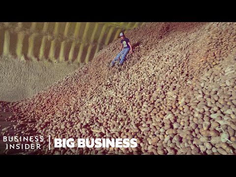 Why Millions Of Potatoes Are Being Thrown Away During The Pandemic | Big Business